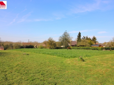 Cliquez pour en savoir plus...